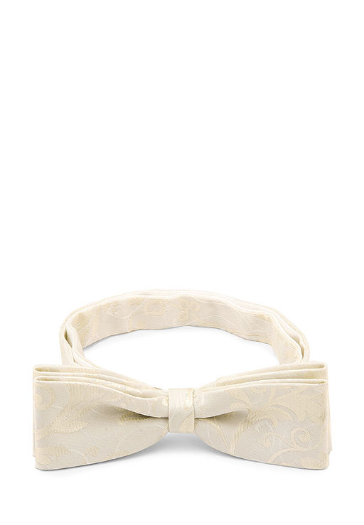 Галстук-бабочка мужской CASINO Casino-poly-wedding 512.1.411