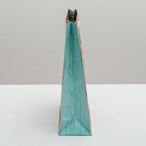 Пакет подарочный ламинированный, упаковка, «Поздравляю!», ML 23 х 27 х 11.5 см