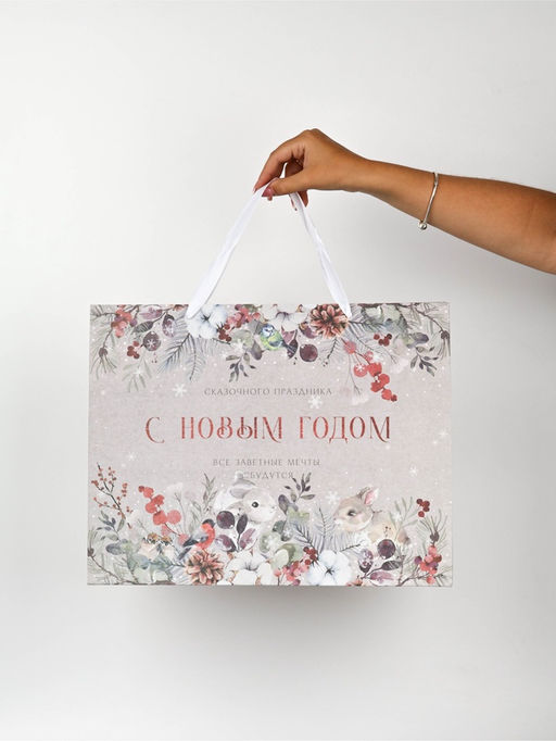 Набор новогодних пакетов «Спешу поздравить»