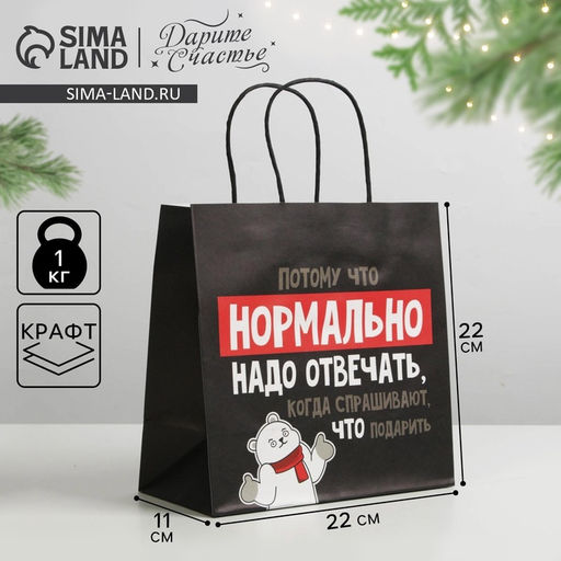 Цена за 2 шт. Пакет подарочный новогодний «Нормально надо отвечать», 22×22×11 см