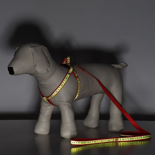 Комплект Косточки и лапки светоотражающий, поводок 120 х 1,5 см, ОГ 36-52 см, красный - Пижон фото 8