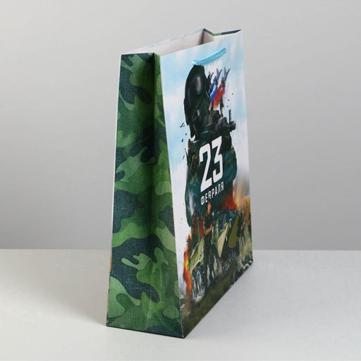 Цена за 2 шт. Пакет подарочный ламинированный, упаковка, С 23 февраля, M 26?30?9 см