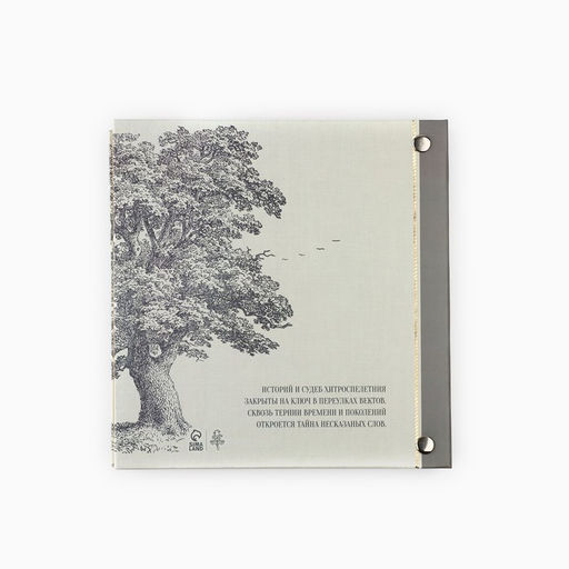 Родословная книга с рамкой под фото «Семейная», 21.5×23.7 см