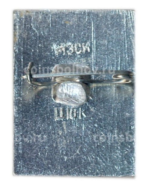 Значок Гусь Хрустальный