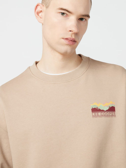 Толстовка / Lee Cooper  фото 3