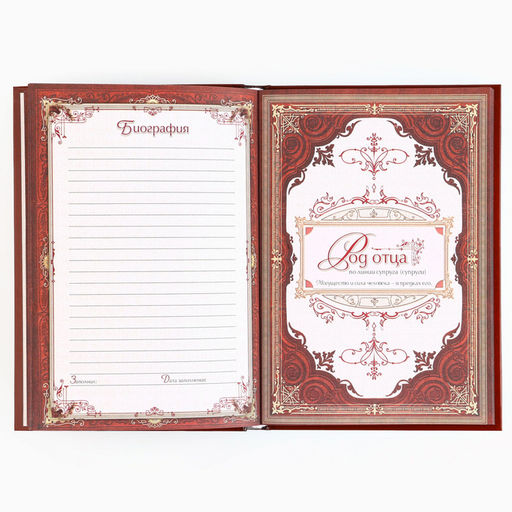 Родословная книга в шкатулке новогодняя «Каждый день», 26×8×27 см