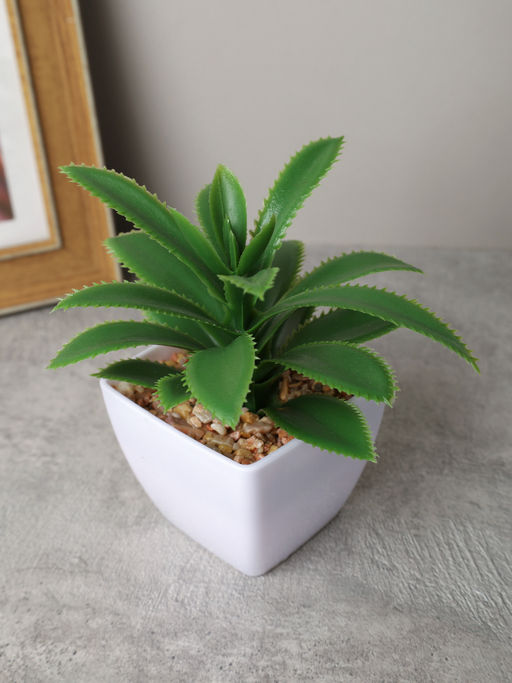 Цветочная композиция Кактус 8-12 см / KL-06 /уп 12/288/ - ГалеонТрейд фото 4