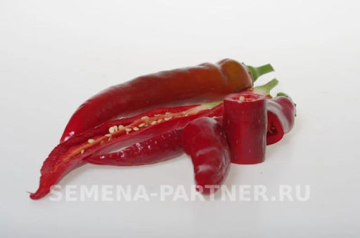 Перец острый Эдвин - Партнер фото 3