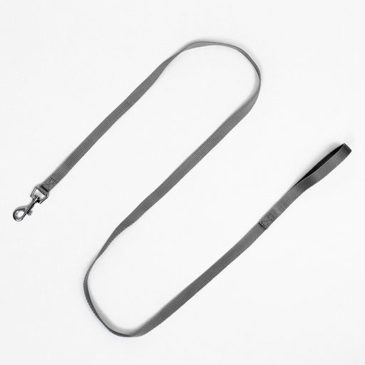 Комплект с мягкой шлейкой, размер XXS, поводок 150 х 1,5 см, ОГ 28-30 см,ОШ 24-26 см, жёлтый - Пижон фото 10