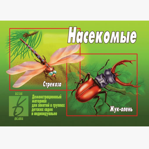 Игра "Насекомые"