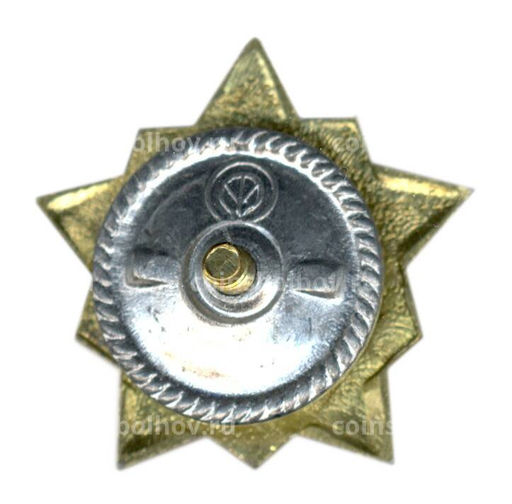 Значок Воин-спортсмен II ступень