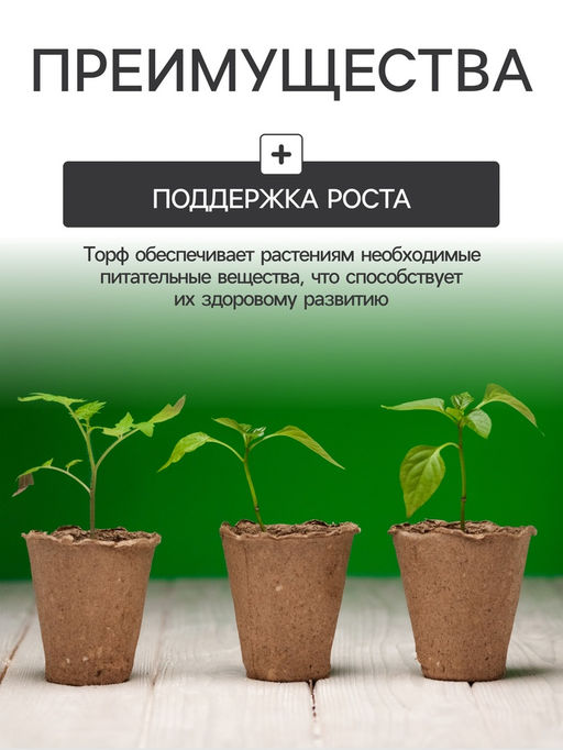 Цена за 6 шт. Набор для рассады: торфяной горшок 6×6 см, кассета на 6 ячеек, 17.5×13.5 см, Greengo  фото 6