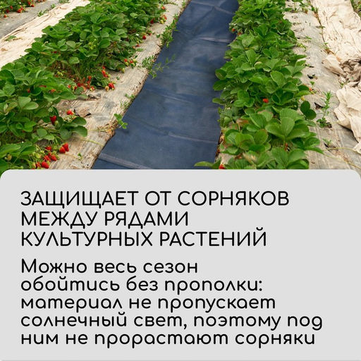 Цена за 2 шт. Полоса защитная для междурядий, мульчирующая, 10×0.3 м, плотность 80 г/м², спанбонд с УФ-стабилизатором, чёрный, Greengo, Эконом 30%