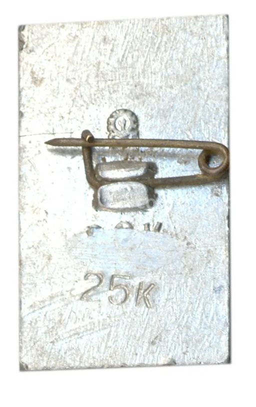 Значок Теплоход Шота Руставели