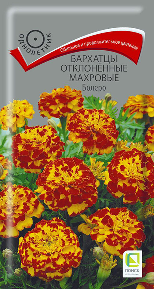 Бархатцы отклоненные махровые (Тагетес отклонённый) Болеро ( ЦВ) (1) 0,4гр. - Поиск фото 2