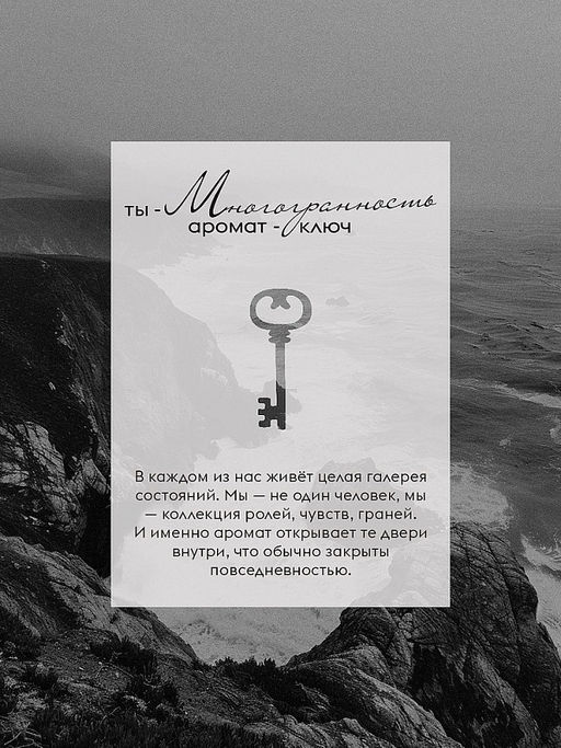 Спрей-ароматизатор Dutybox Психея 300 мл фото 4