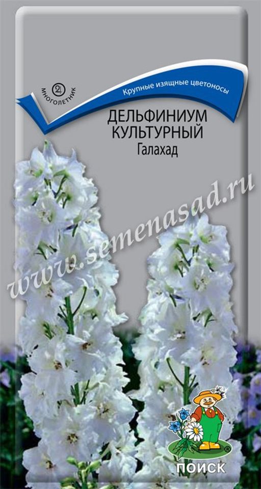 Дельфиниум культурный Галахад (ЦВ) ("М) 0,1гр.