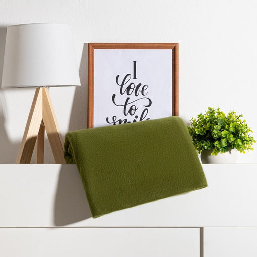 Плед «Экономь и Я» зелёный 150×200 см, 160 г/м², 100% п/э