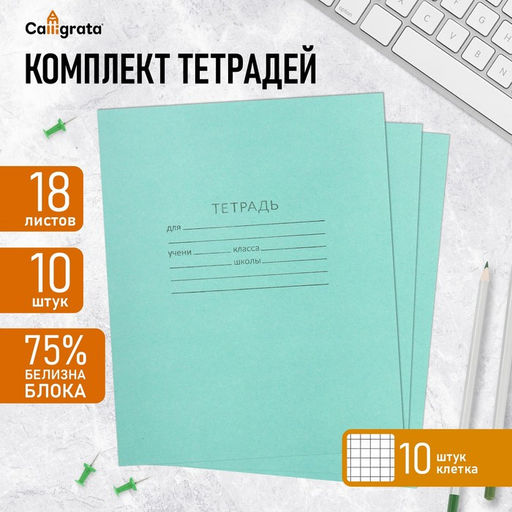 Цена за 2 шт. Набор тетрадей 18 листов в клетку «Зелёная обложка», серые листы, 10 шт.
