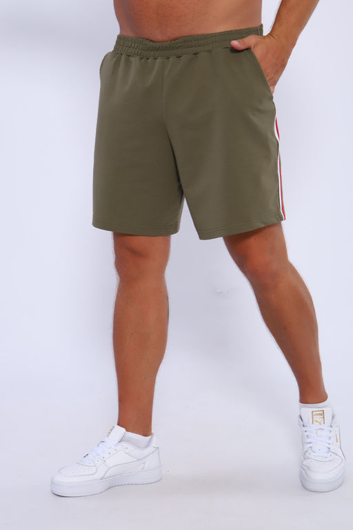 Шорты мужские 35336