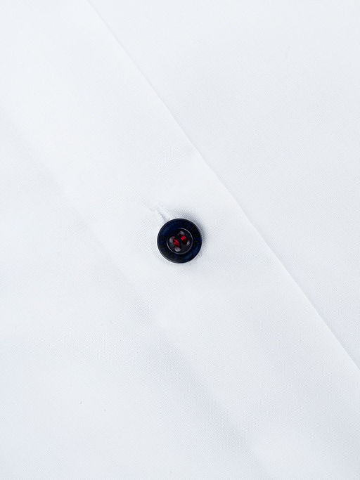 Сорочка мужская длинный рукав GREG 100/211/4026/1p  фото 3