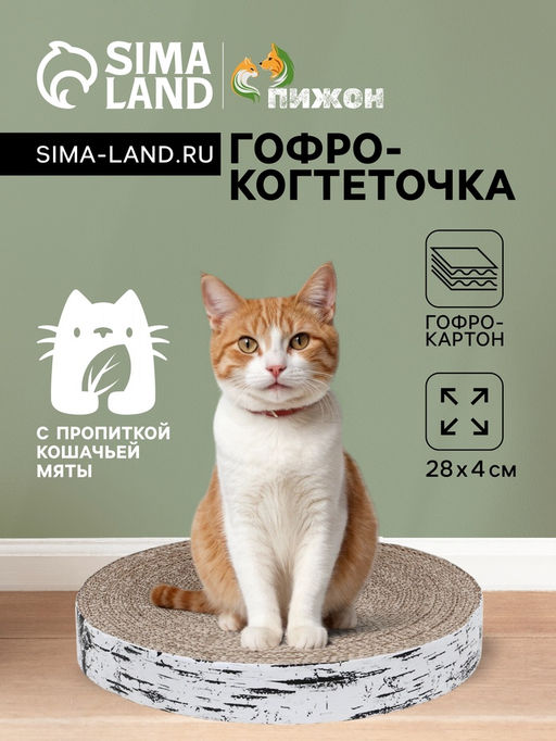 Гофрокогтеточка Пижон высокая круглая Спил березы, с пропиткой, 28 х 4 см  фото 7