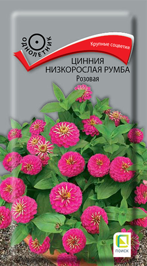 Цинния низкорослая Румба Розовая (ЦВ) (1) 0,1гр - Поиск фото 2