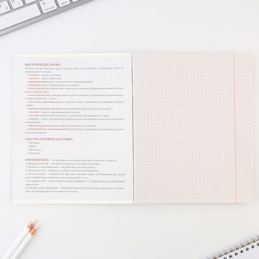 Предметная тетрадь, 48 листов, Биология, со справочными материалами Алгебра, обложка мелованный картон 230 гр., внутренний блок в клетку 80 гр., белизна до 80%, блок №4 - Artfox study фото 3