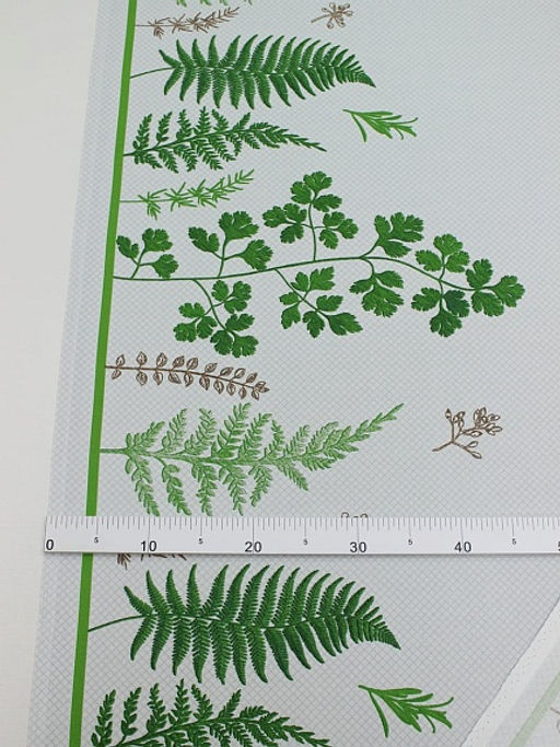 Рогожка Лесная ботаника-листья по кайме, ш.1.5м, хлопок-100%, 170гр/м.кв - Купава фото 3