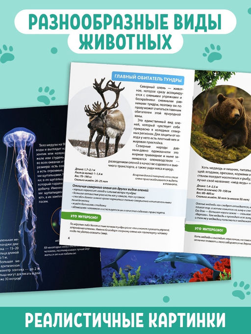 Мини - энциклопедии «Мир животных», набор 6 шт. по 20 стр.