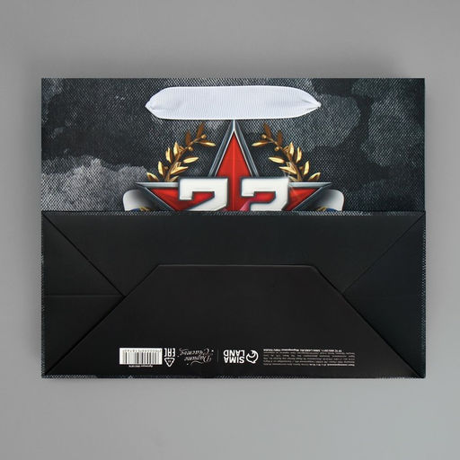 Цена за 2 шт. Пакет подарочный ламинированный, упаковка, «23 февраля», MS 23×18×10 см