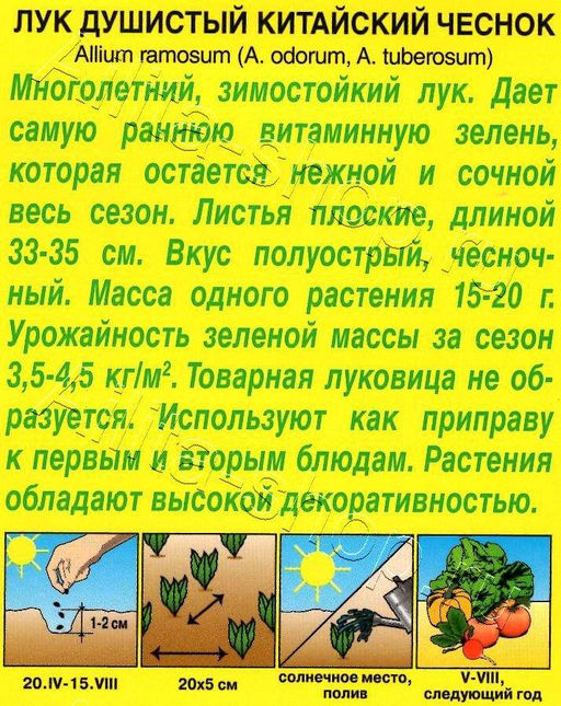 Лук душистый Китайский чеснок 0,3г (Аэлита)