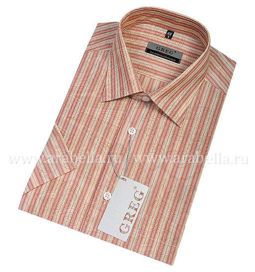 Сорочка мужская короткий рукав GREG 573/301/Z  фото 2