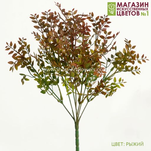 103 Листья фисташки, куст - Без тм фото 3