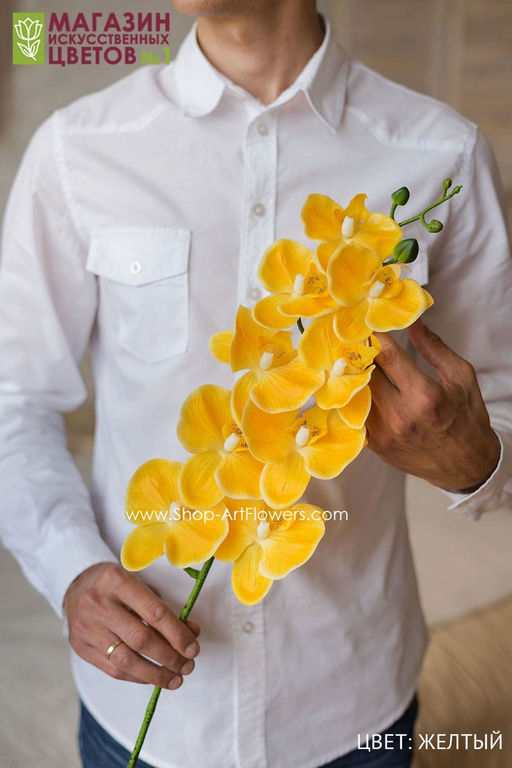 004 Орхидея фаленопсис "Жозель" (9 цветков)