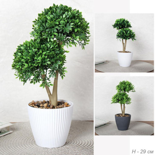 Цветочная композиция Зелень самшит 29 см / 9090-10 /уп 9/72/ - Галеонтрейд фото 8