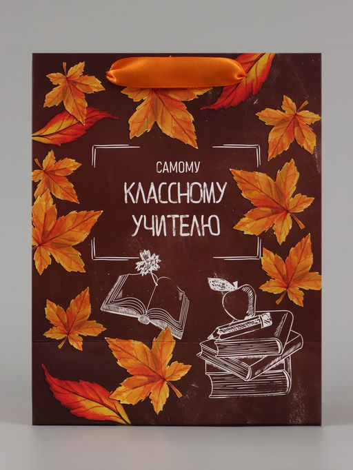Цена за 2 шт. Пакет подарочный ламинированный, упаковка, «Классному учителю», MS 18×23×10 см