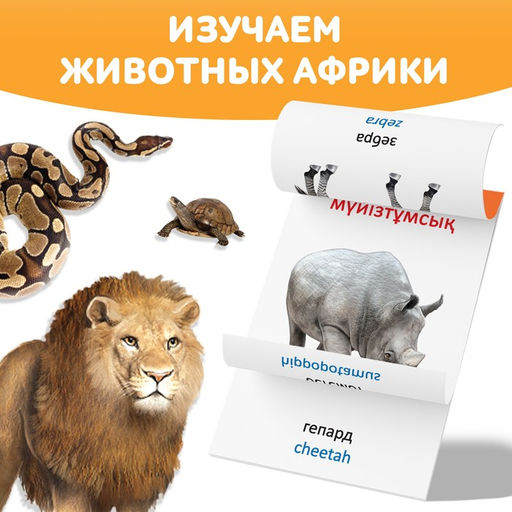 Книга по методике Г. Домана Животные Африки, на казахском языке - Буква-Ленд фото 3