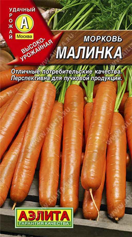 Морковь Малинка ® - Аэлита фото 2