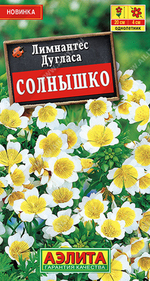 1564A Лимнантес дугласа Солнышко 0,1гр