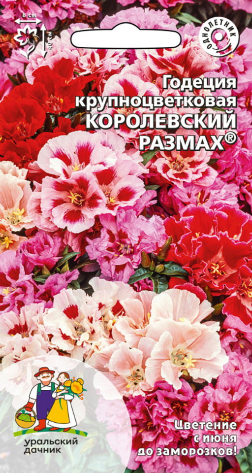 Годеция КОРОЛЕВСКИЙ РАЗМАХ