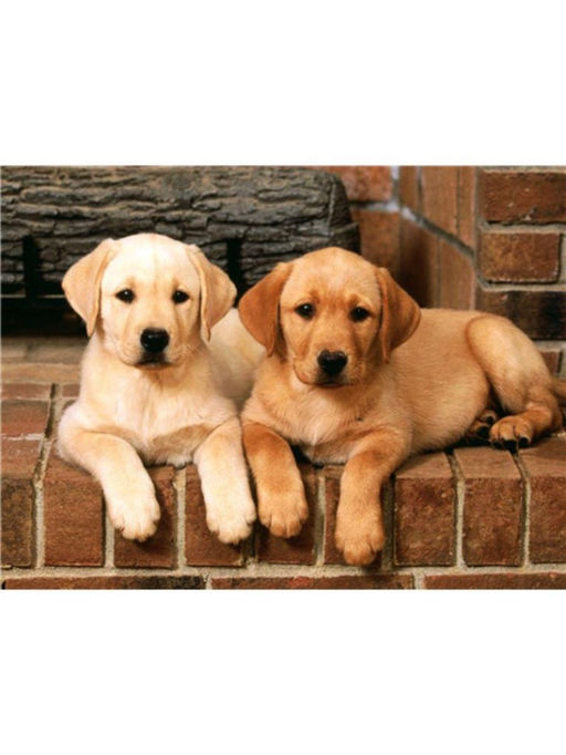 Алмазная мозаика без подрамника "Два лабрадора" , 30х40 см