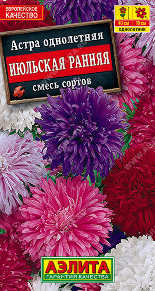 1207A Астра Июльская ранняя, смесь сортов 0,2гр