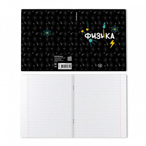 Цена за 5 шт. Тетрадь общая ученическая ErichKrause Inscription, Физика, 48 листов, клетка, твин-лак  фото 2