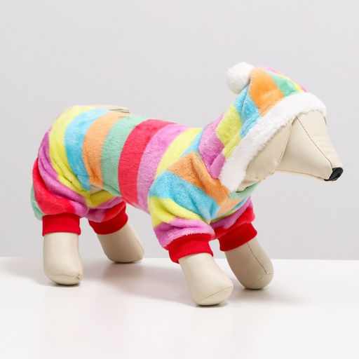 Комбинезон Радуга с капюшоном, размер S (ДС 25 см, ОГ 35 см, ОШ 25 см) - Simaland фото 16