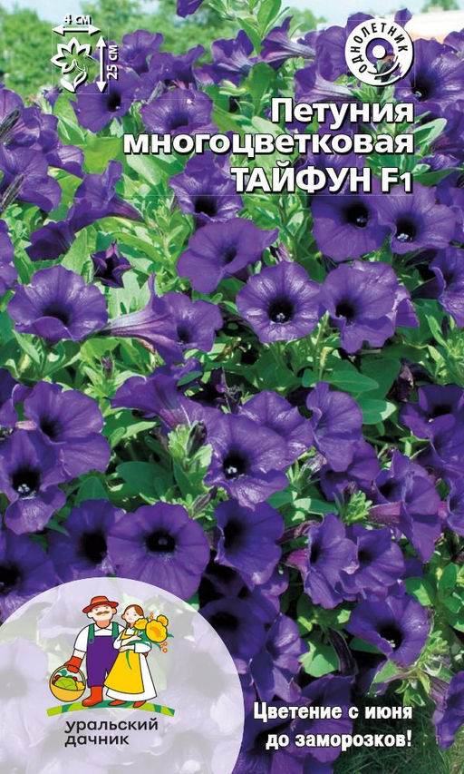 Петуния ТАЙФУН F1 Многоцветковая!