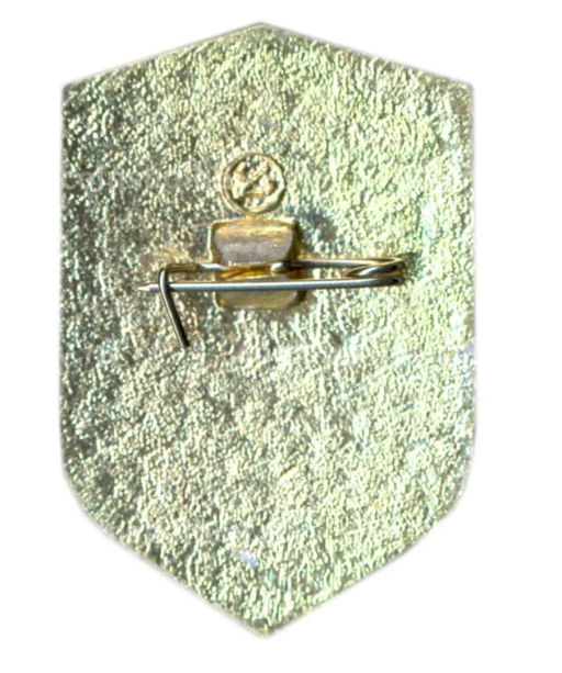 Значок ВДПО (Всероссийское добровольное пожарное общество)