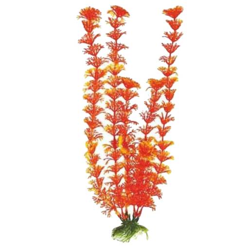 Растение Plant 021 Кабомба ОРАНЖЕВАЯ , 30см PLANT 021/30