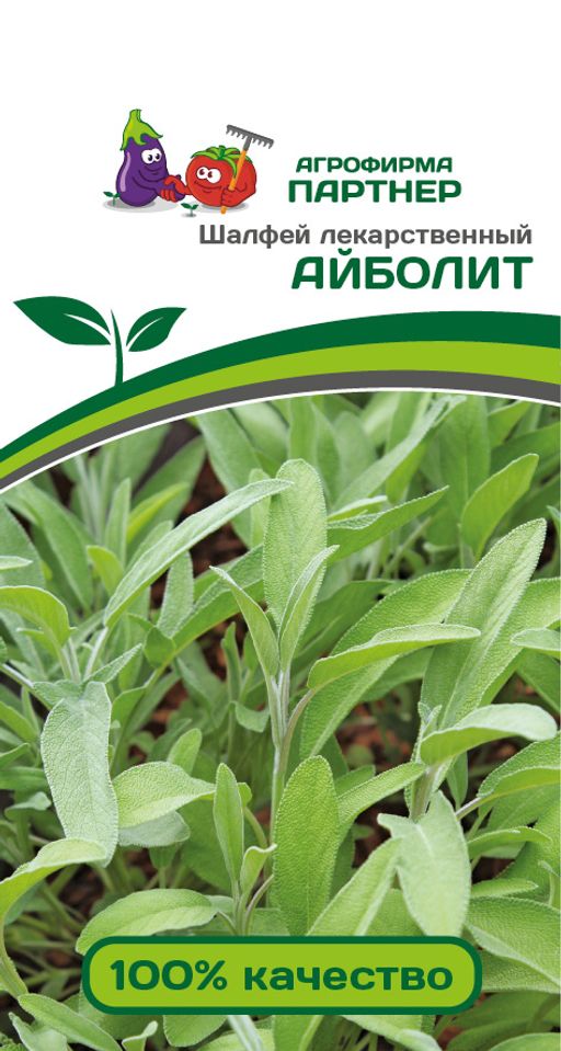 Шалфей лекарственный Айболит