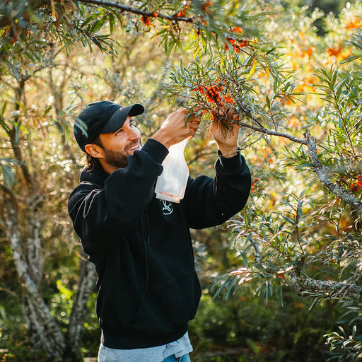 Марья (Maria) Комбайн (контейнер) плодосборник для облепихи, 32х8х8см, пластик/нерж., цвет белый, на картоне (Китай) - Домашняя мода фото 2